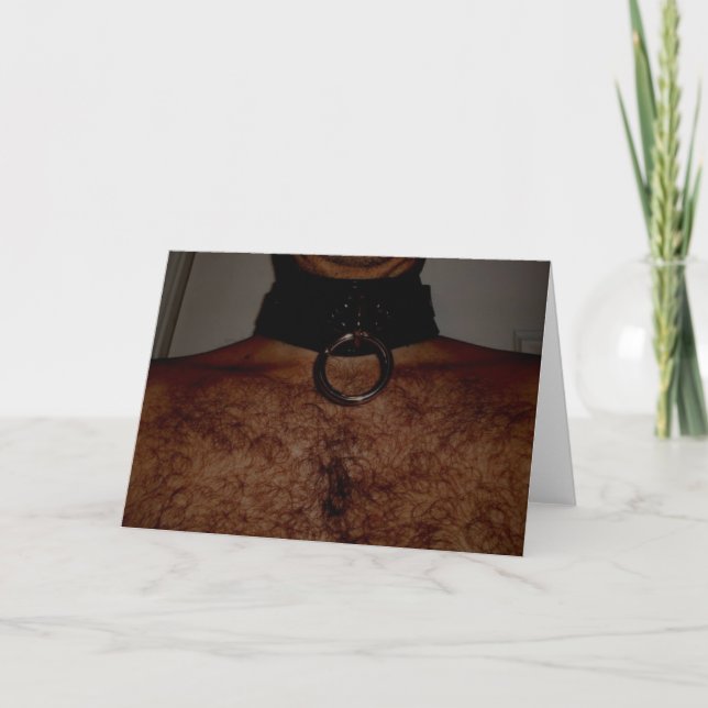 COLLAR TIME HOLIDAY CARD (Front)