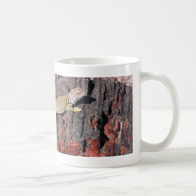 Collared Lizard  Coffee Mug (Right)