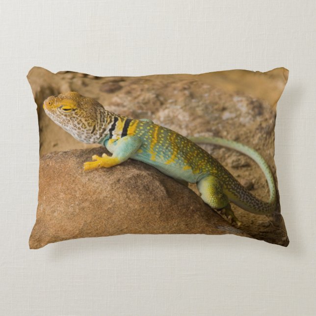 Collared Lizard Decorative Pillow (Front)