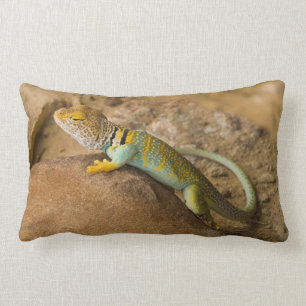 Collared Lizard Lumbar Pillow
