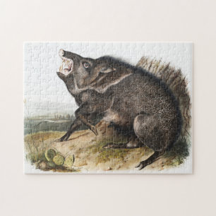 Collared Peccary Dycoteles torquatus Illustration Jigsaw Puzzle