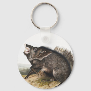 Collared Peccary Dycoteles torquatus Illustration Keychain