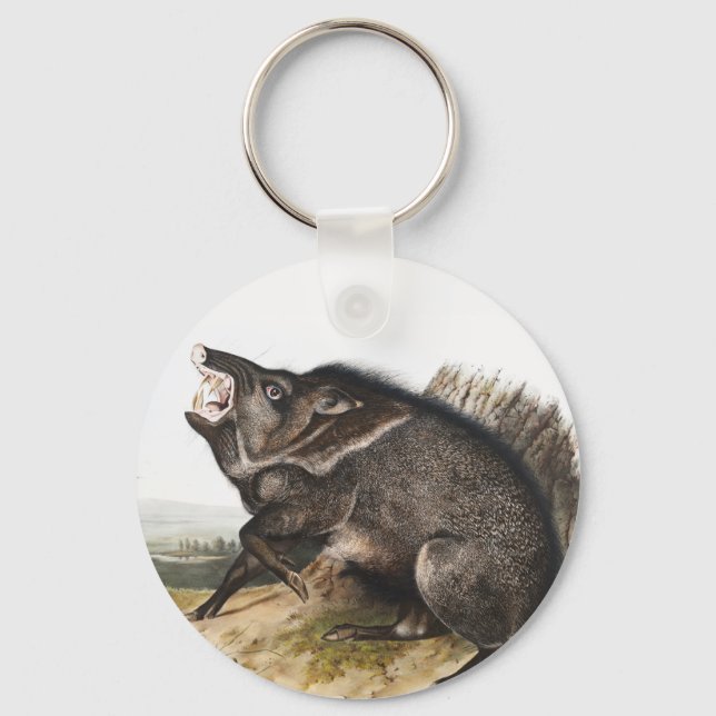 Collared Peccary Dycoteles torquatus Illustration Keychain (Front)