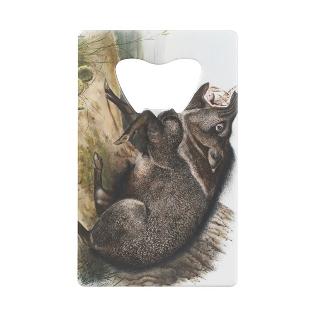 Collared Peccary Pig Camping Deco Gifts Credit Card Bottle Opener (Back)