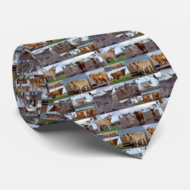Collarge Of Highland Cows, Tie (Rolled)