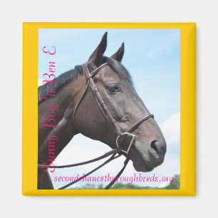 Collectable Magnet Series - Sunny Boy 'n Ben E
