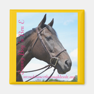 Collectable Magnet Series - Sunny Boy 'n Ben E