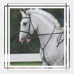 Collected White Horse  Stickers