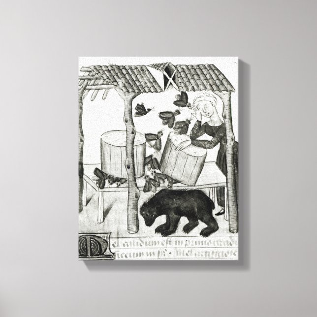 Collecting Honey Canvas Print (Front)