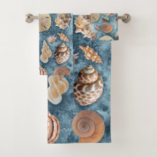 Collection de coquillages