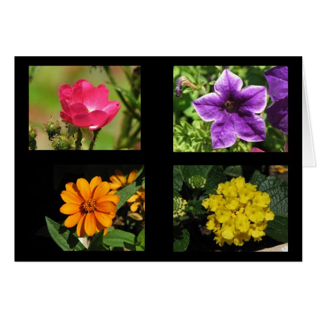 Collection de jolies fleurs (Devant horizontal)