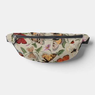 Collection de la papillon Moth Nature Dessin