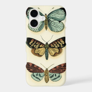 Collection de papillons par Chariklia Zarris