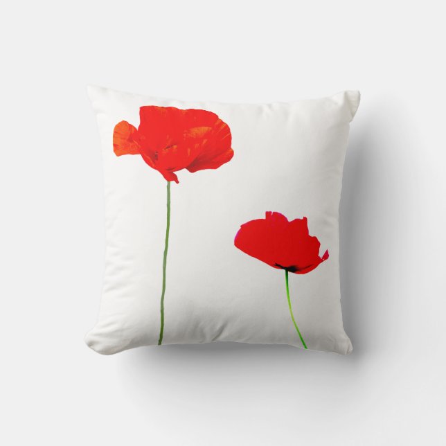COLLECTION DE POIVRE 03 Coussin (Recto)