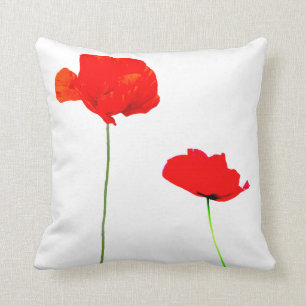 COLLECTION DE POIVRE 03 Coussin