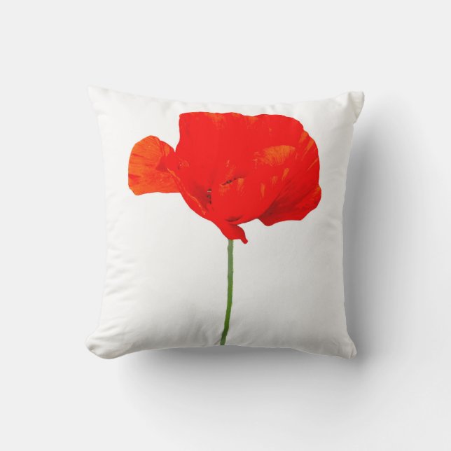 COLLECTION DE POIVRE 06 Coussin (Recto)