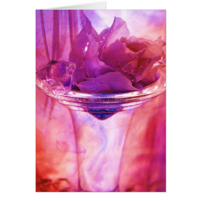 Collection "de rose de pourpre" (Devant)