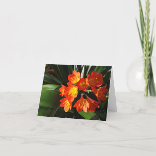 Collection florale de carte pour notes de la