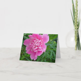 collection florale de carte pour notes de peonie