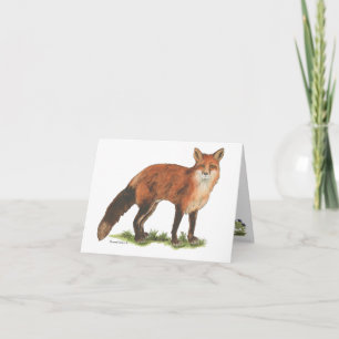 Collection Fox Note Card