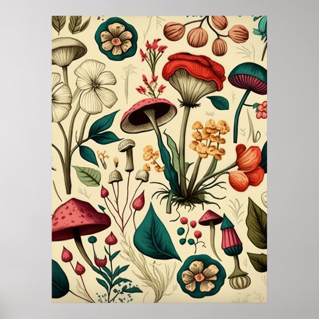 Collection of Mushrooms Plants Poster (Front)