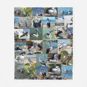 Collection Of Pelicans In A Photo Collage, Fleece Blanket
