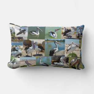 Collection Of Pelicans In A Photo Collage, Lumbar Pillow