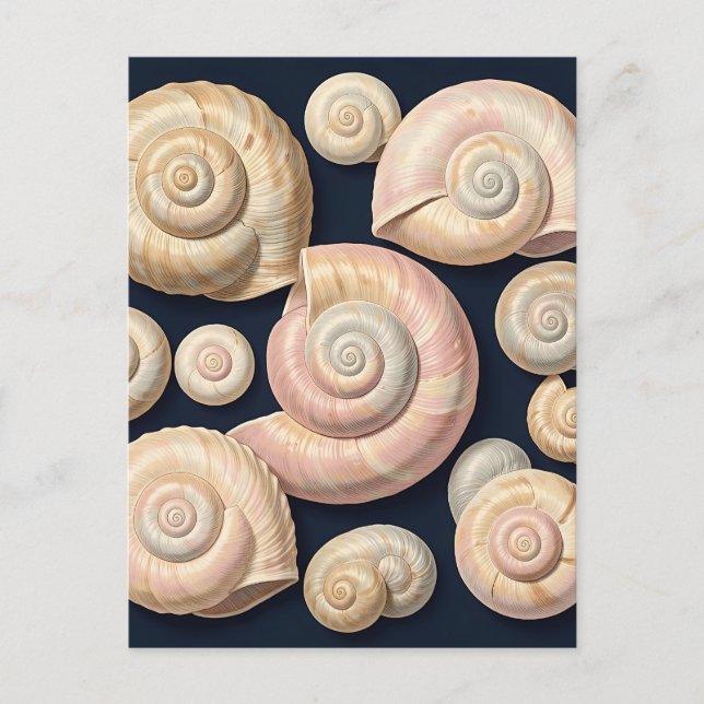Collection of Spiral Seashells Beige Pink Nautical Postcard (Front)