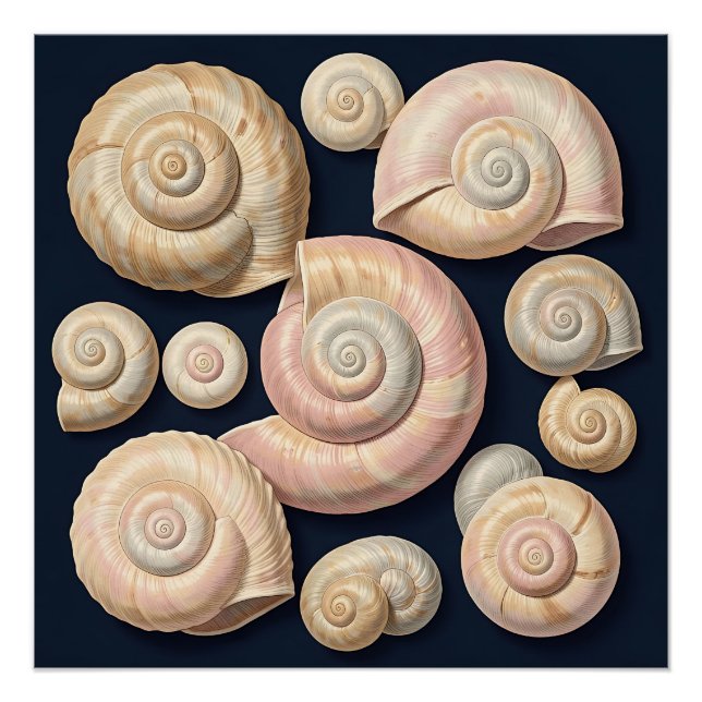 Collection of Spiral Seashells Beige Pink Nautical Poster (Front)