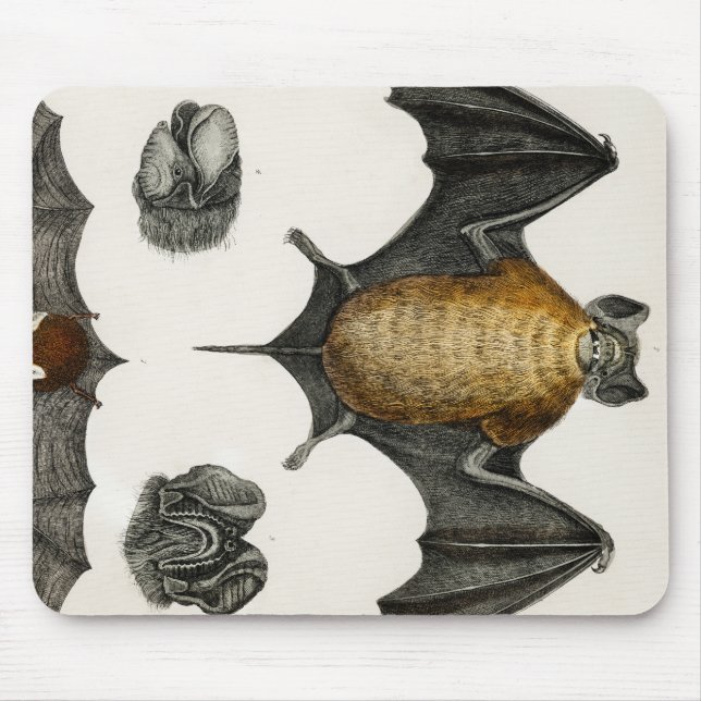 Collection of various Bats Mouse Pad (Front)