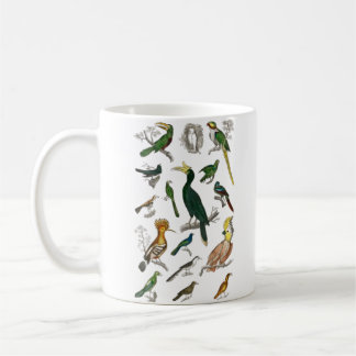 Collection of various birds coffee mug