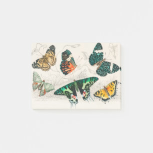 Collection of Various Butterflies Post-it Notes