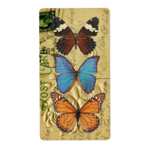 Collection papillon