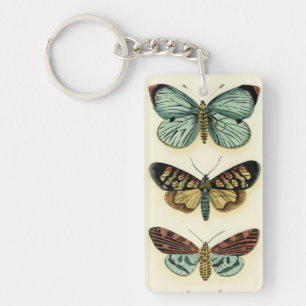 Collection Papillons par Chariklia Zarris