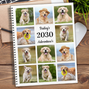 Collection photo de chien de compagnie personnalis