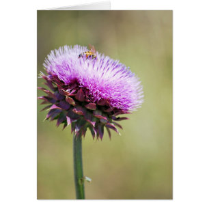 Collection "Thistle with Bee"