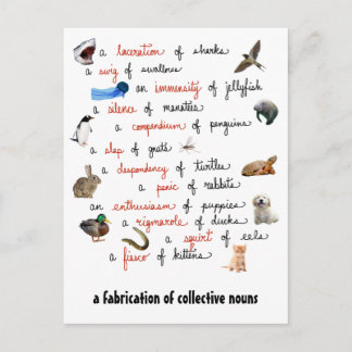 Collective Nouns: postcards