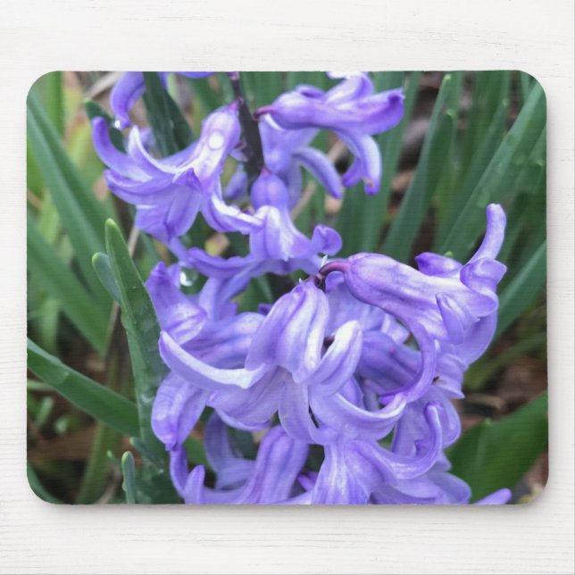 Collector Blue Bell Mouse Pad  (Front)