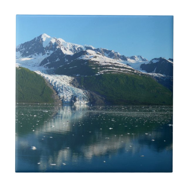 College Fjord II Beautiful Alaska Photography Tile (Front)