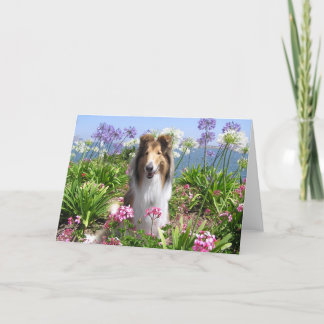 Colley dans la carte de fleurs