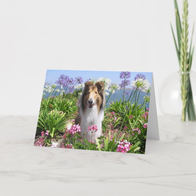 Colley dans la carte de fleurs (Devant)