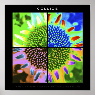 COLLIDE POSTER
