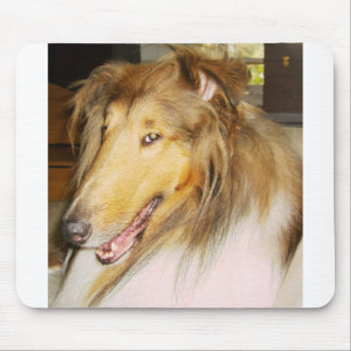 COLLIE1 MOUSE PAD