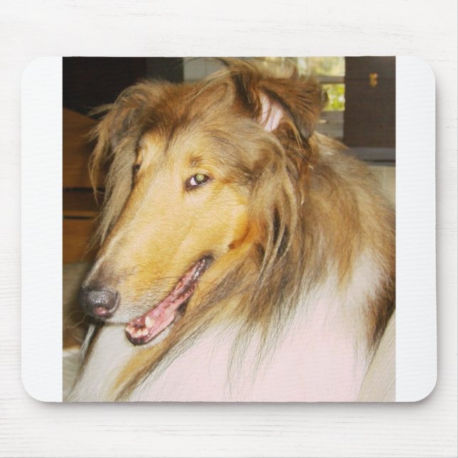 COLLIE1 MOUSE PAD (Front)