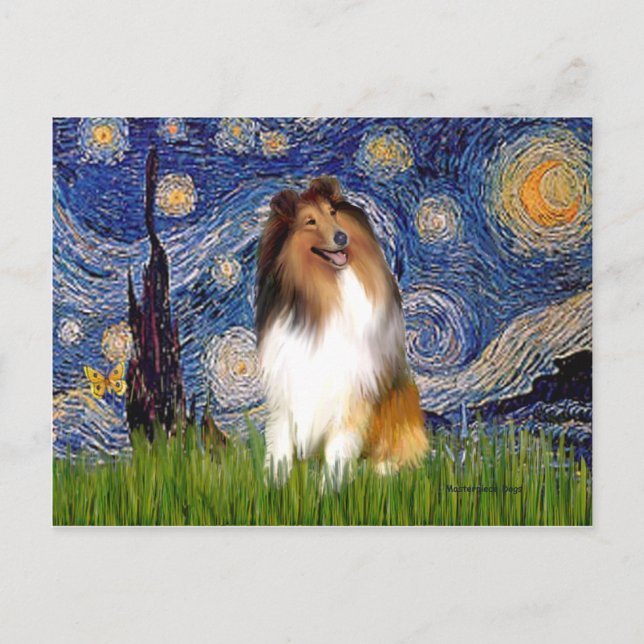 Collie 1 - Starry Night Postcard (Front)