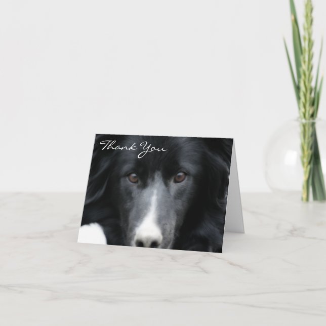 Collie Bordure noire Carte de remerciements visage (Devant)