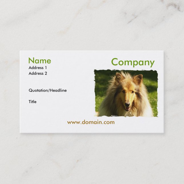 Collie Business Card (Front)