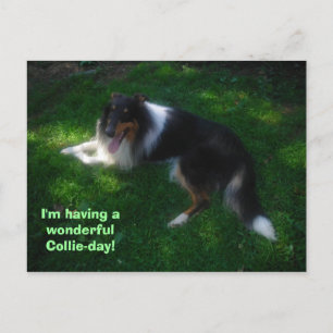 collie-day postcard