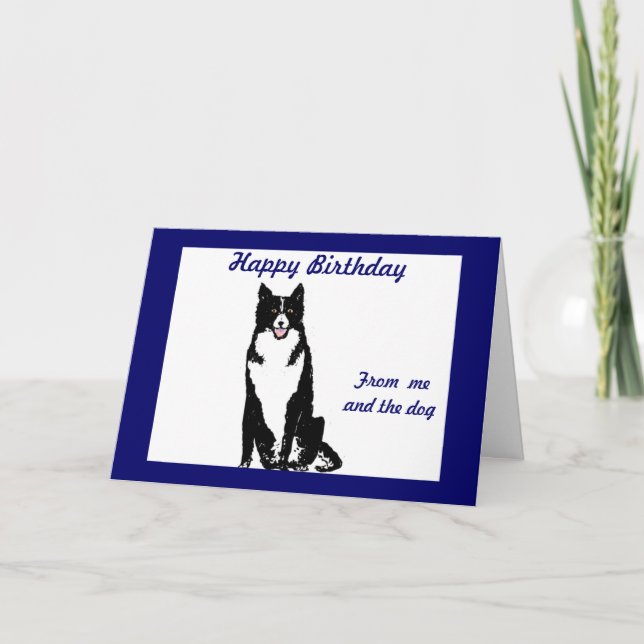 Collie Dog Birthday Card (Front)