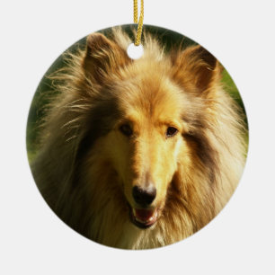 Collie Dog Breed Ornament